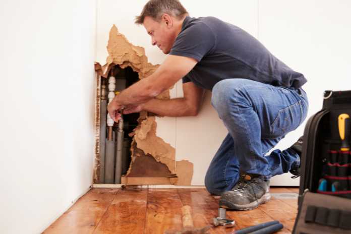 Restoration Services