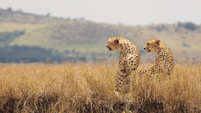 Botswana