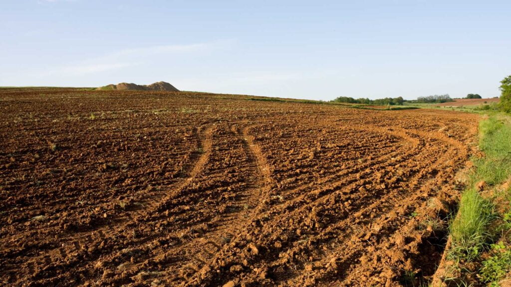 Agricultural Land